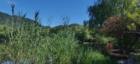 公园风景 