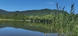 公园风景 