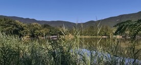 公园风景  