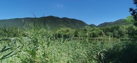 公园风景 