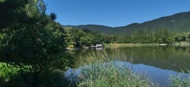 公园风景  