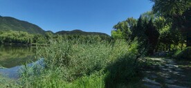 公园风景  
