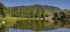 公园风景
