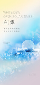 白露地产海报展架画面