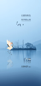 白露地产海报展架画面