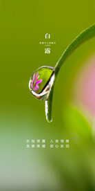 白露地产海报展架画面