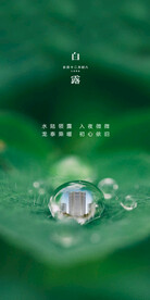 白露地产海报展架画面