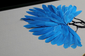蓝色羽毛立体画