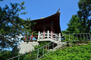 公园风景 