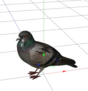 C4D模型 鸽子