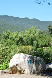 公园风景 