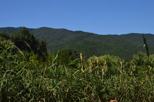 公园风景