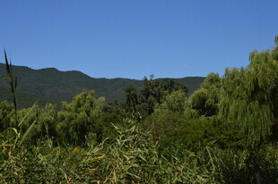 公园风景  