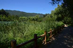 公园风景 