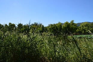 公园风景  