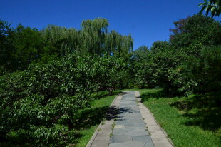 公园风景 