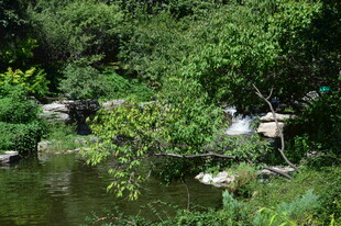 公园风景 
