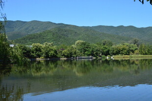 植物园风景