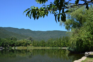 公园风景  