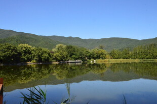 公园风景