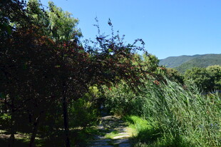 公园风景  
