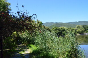 公园风景  