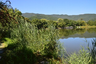 公园风景  