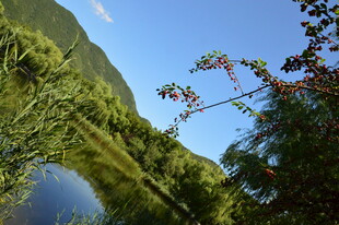 植物园风景