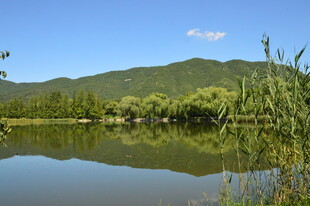公园风景