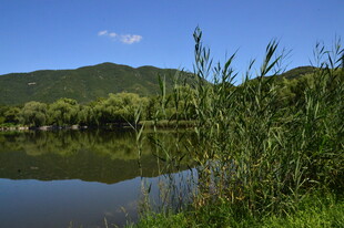 公园风景