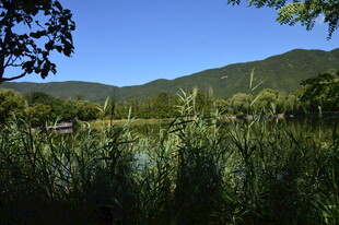 公园风景 