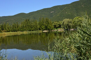 公园风景