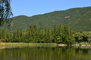 公园风景  