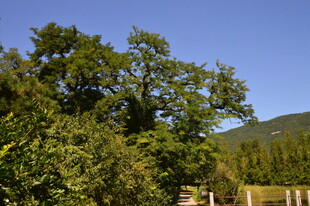 公园风景