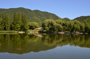 公园风景  