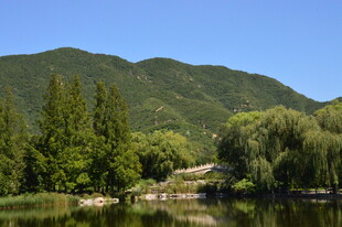 植物园风景