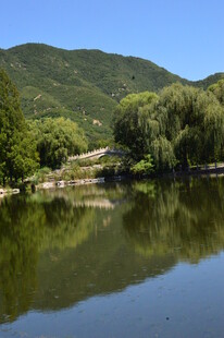 公园风景  