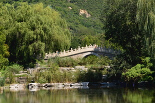 公园风景 