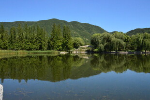 公园风景 