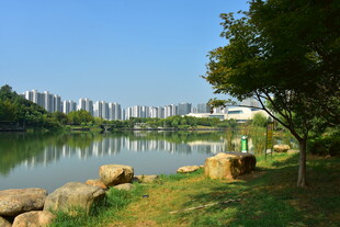 城市里的湖畔公园