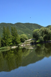 公园风景