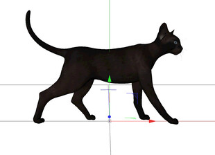 C4D模型 猫  