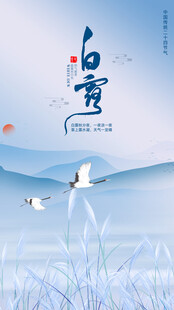 白露节气海报