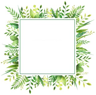 叶片树叶的边框水彩画风格插画