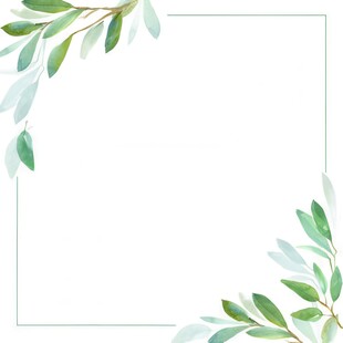 叶片树叶的边框水彩画风格插画