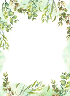 叶片树叶的边框水彩画风格插画
