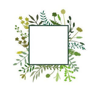 叶片树叶的边框水彩画风格插画