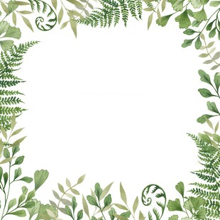 叶片树叶的边框水彩画风格插画