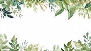 叶片树叶的边框水彩画风格插画