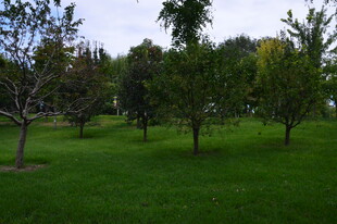 公园风景  